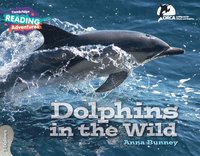 bokomslag Cambridge Reading Adventures Dolphins in the Wild 3 Explorers