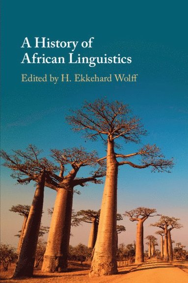 bokomslag A History of African Linguistics