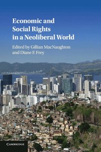 bokomslag Economic and Social Rights in a Neoliberal World