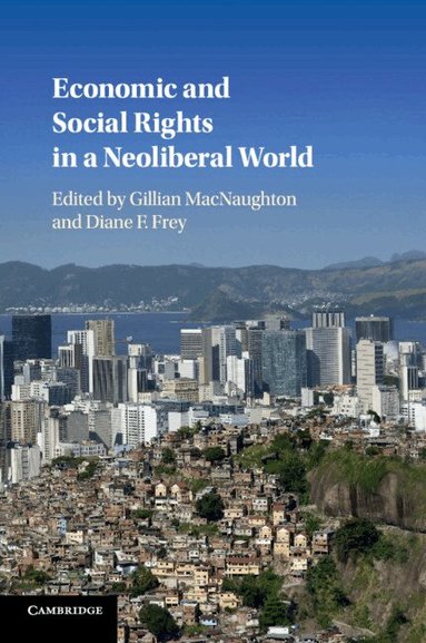 Gillian MacNaughton, Diane F. Frey - Economic and Social Rights in a Neoliberal World, Häftad