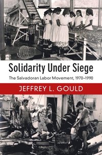 bokomslag Solidarity Under Siege