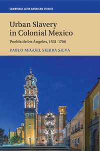 bokomslag Urban Slavery in Colonial Mexico