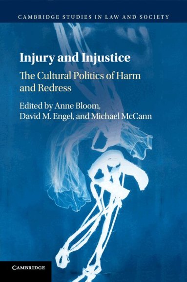 Anne Bloom, David M. Engel, Michael McCann - Injury and Injustice, Häftad