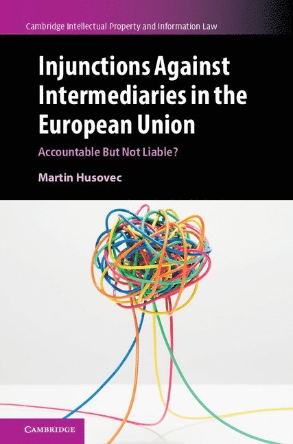 Injunctions against Intermediaries in the European Union 1