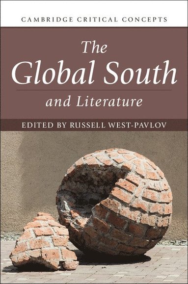 bokomslag The Global South and Literature