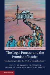 bokomslag The Legal Process and the Promise of Justice