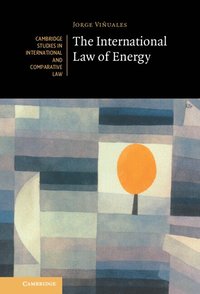 bokomslag The International Law of Energy