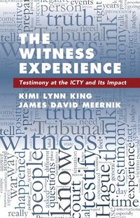 bokomslag The Witness Experience