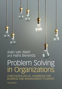 bokomslag Problem Solving in Organizations