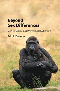 bokomslag Beyond Sex Differences