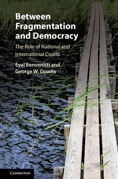 Eyal Benvenisti, George W. Downs - Between Fragmentation and Democracy, Inbunden
