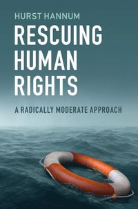 bokomslag Rescuing Human Rights