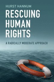 bokomslag Rescuing Human Rights