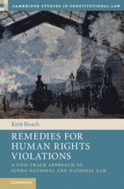 bokomslag Remedies for Human Rights Violations