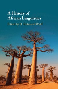 bokomslag A History of African Linguistics