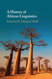 bokomslag A History of African Linguistics