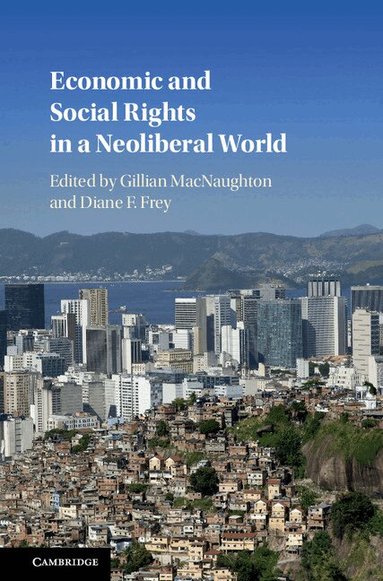 Gillian MacNaughton, Diane F. Frey - Economic and Social Rights in a Neoliberal World, Inbunden