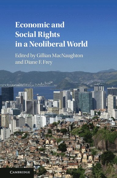 bokomslag Economic and Social Rights in a Neoliberal World