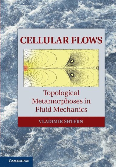 bokomslag Cellular Flows