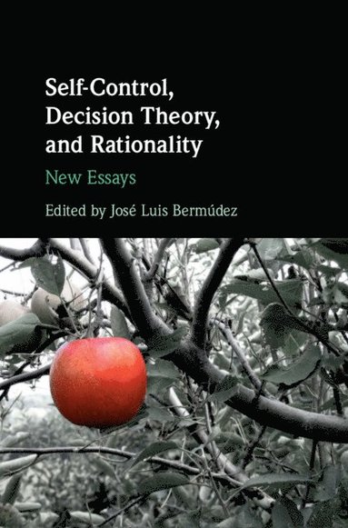 bokomslag Self-Control, Decision Theory, and Rationality