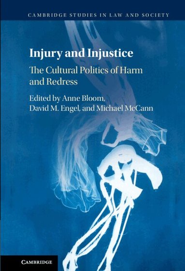 Anne Bloom, David M. Engel, Michael McCann - Injury and Injustice, Inbunden