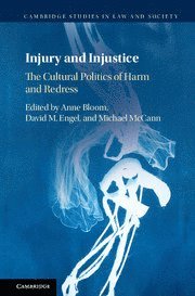 bokomslag Injury and Injustice