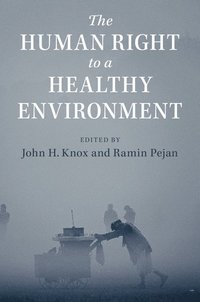 bokomslag The Human Right to a Healthy Environment