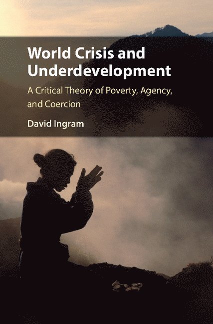 David Ingram, Chicago) Ingram, David (Loyola University - World Crisis and Underdevelopment, Inbunden