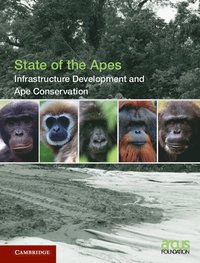 bokomslag Infrastructure Development and Ape Conservation: Volume 3
