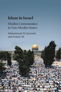 bokomslag Islam in Israel