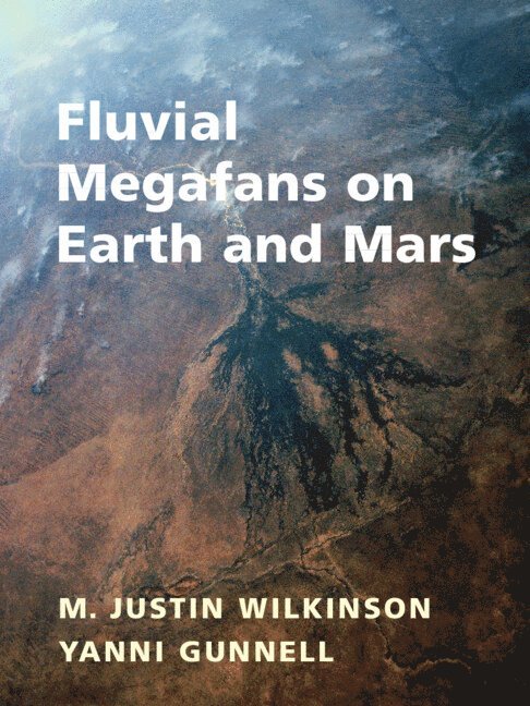 Fluvial Megafans on Earth and Mars 1