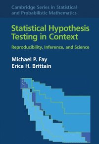 bokomslag Statistical Hypothesis Testing in Context: Volume 52