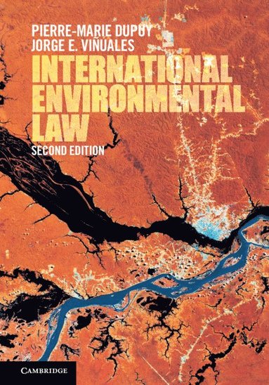 bokomslag International Environmental Law