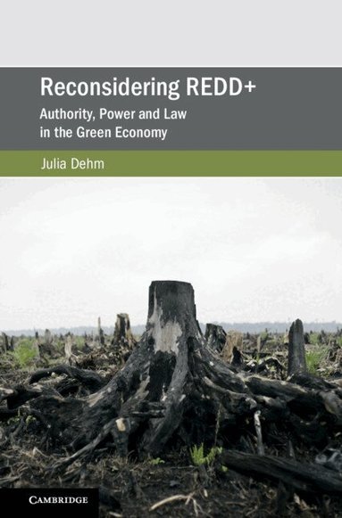 Julia Dehm - Reconsidering REDD+, Inbunden