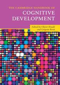 bokomslag The Cambridge Handbook of Cognitive Development