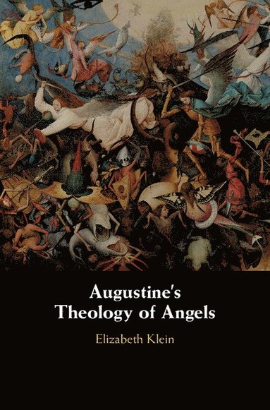 bokomslag Augustine's Theology of Angels