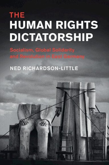 Ned Richardson-Little - The Human Rights Dictatorship, Inbunden