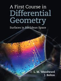 bokomslag A First Course in Differential Geometry