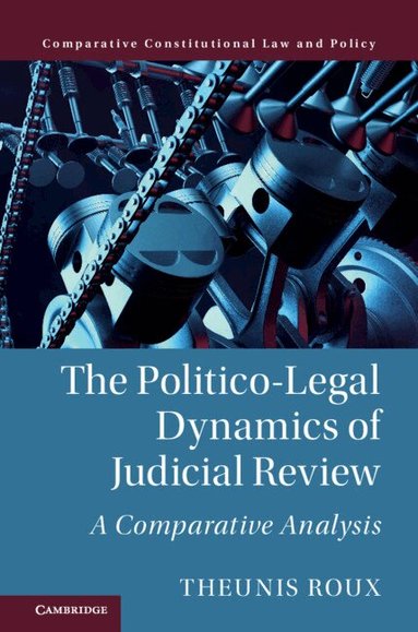 Theunis Roux - The Politico-Legal Dynamics of Judicial Review, Inbunden