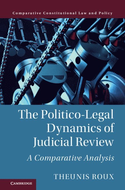 The Politico-Legal Dynamics of Judicial Review 1