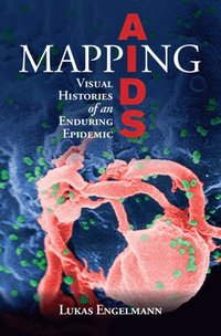bokomslag Mapping AIDS