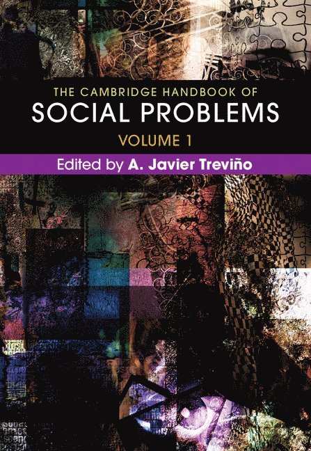 The Cambridge Handbook of Social Problems: Volume 1 1