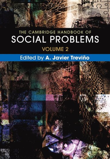 bokomslag The Cambridge Handbook of Social Problems: Volume 2