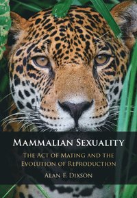 bokomslag Mammalian Sexuality