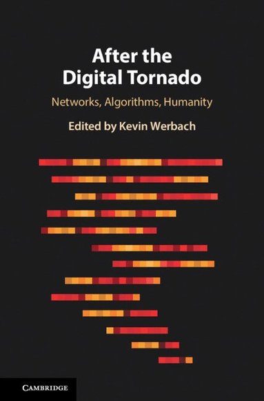 Kevin Werbach - After the Digital Tornado, Inbunden