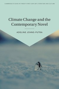 bokomslag Climate Change and the Contemporary Novel