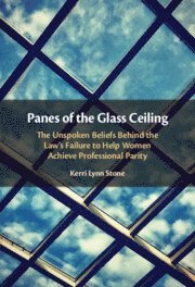 bokomslag Panes of the Glass Ceiling