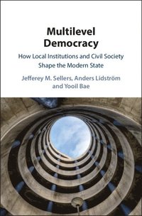 bokomslag Multilevel Democracy