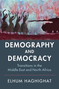 bokomslag Demography and Democracy