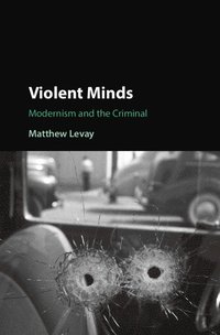 bokomslag Violent Minds